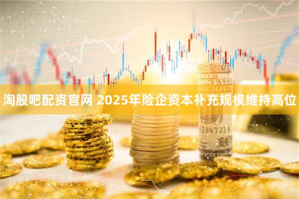 淘股吧配资官网 2025年险企资本补充规模维持高位
